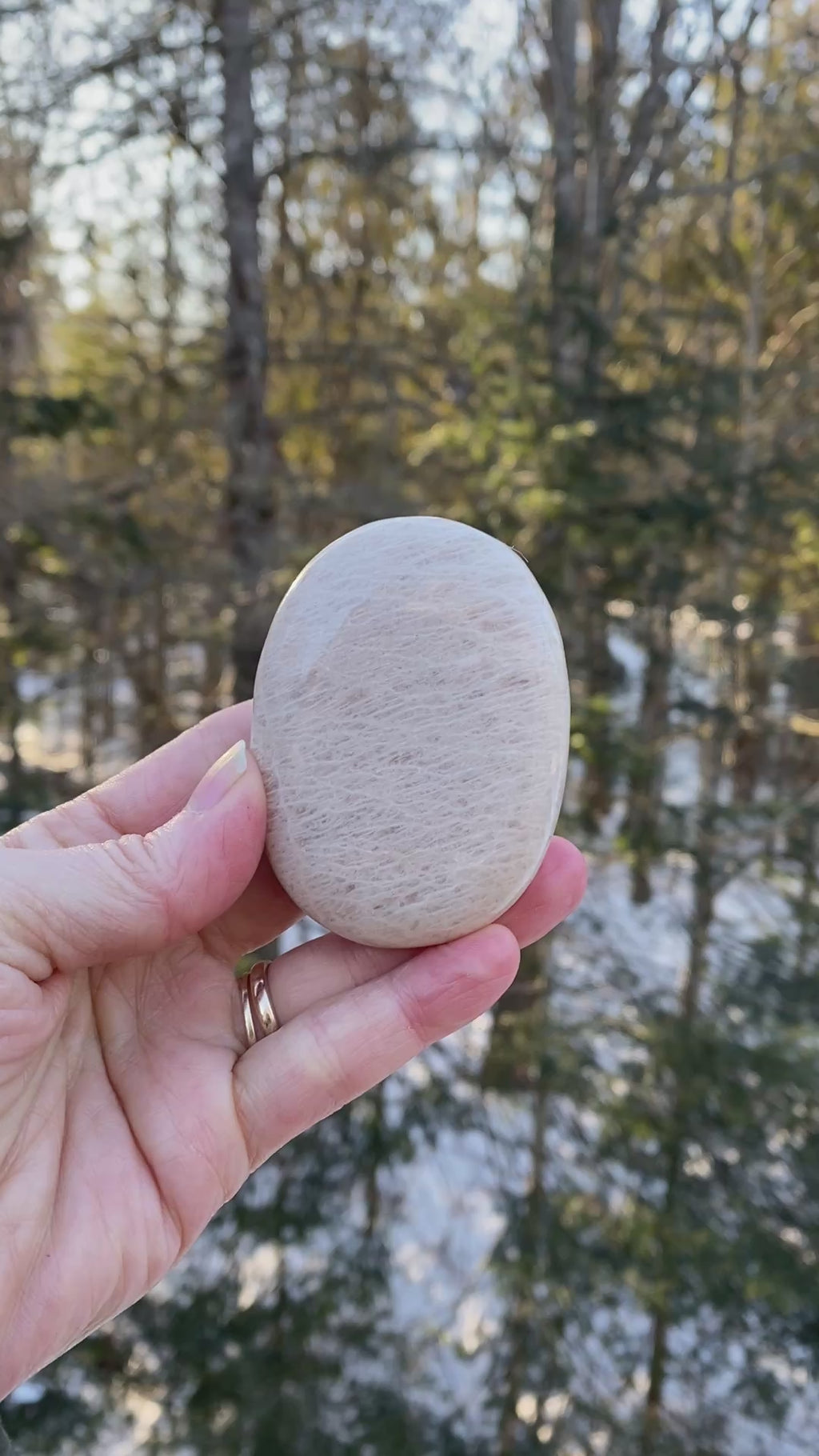 Moonstone Palm Stone  Abundance Protection 31226S
