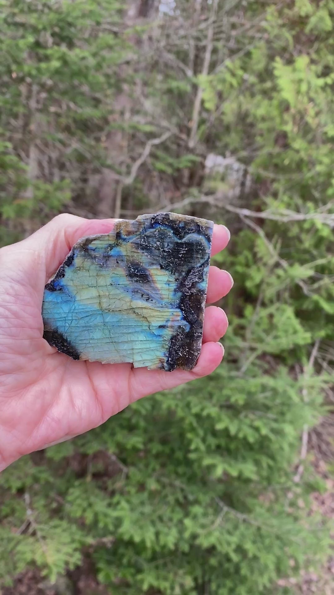 Labradorite Slab Plate Specimen  Mystical Stone Intuition Protective 31424S