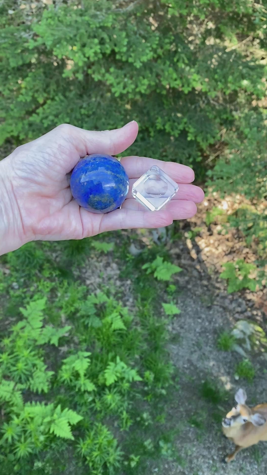Lapis Lazuli  Sphere Stand  Blue  Protection Truth 31610S